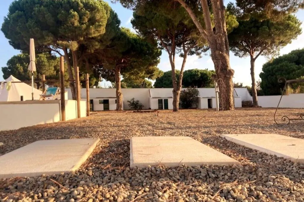 Cadiz - Buda, Acogedor Apartamento En Chiclana De La Frontera, Espana Apartment
